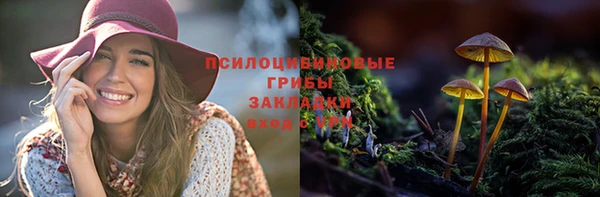 марки lsd Елабуга