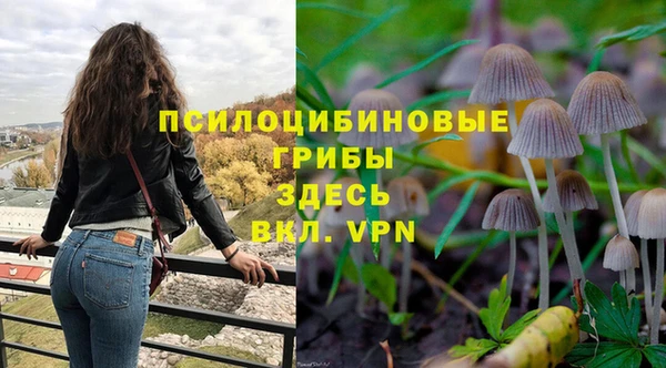 бошки Ельня