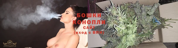бошки Ельня