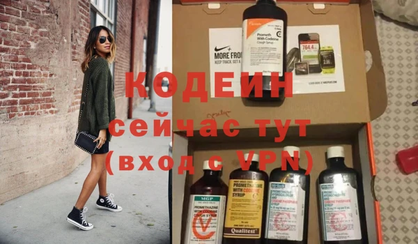 бошки Ельня