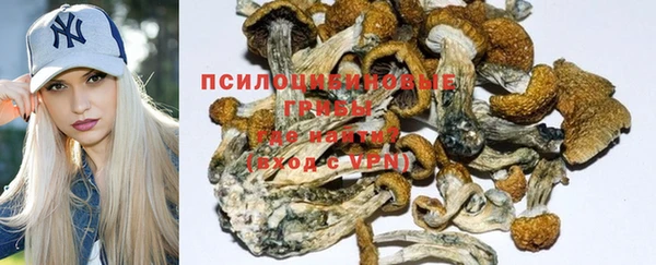 бошки Ельня