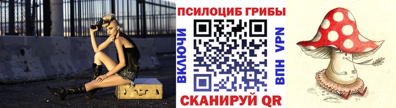 Галлюциногенные грибы мицелий  где продают наркотики  MEGA ССЫЛКА  Знаменск 