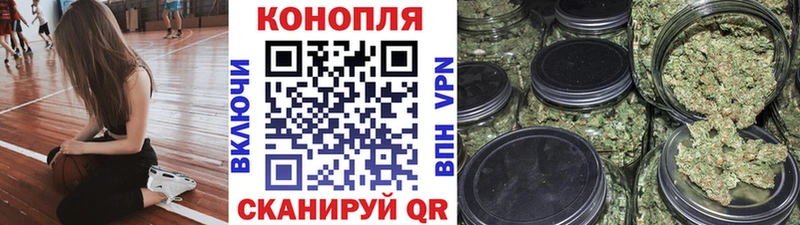 Бошки Шишки Amnesia  Знаменск 